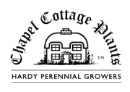 Lovania Nurseries